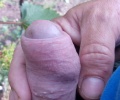 Pauza ve vinici