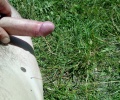 Nuda plaz