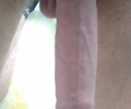 22cm 2