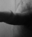 foto-galerie
