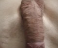 Já