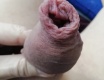 Moje delší kůžička - fotoalbum č. 129345