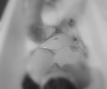 My