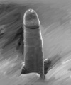 amatérské fotky - č. 927712