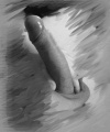 amatérské fotky - č. 927713