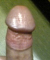 amatérské fotky - č. 943326