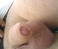 v lesiku