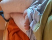 Můj  macek - fotoalbum č. 140209